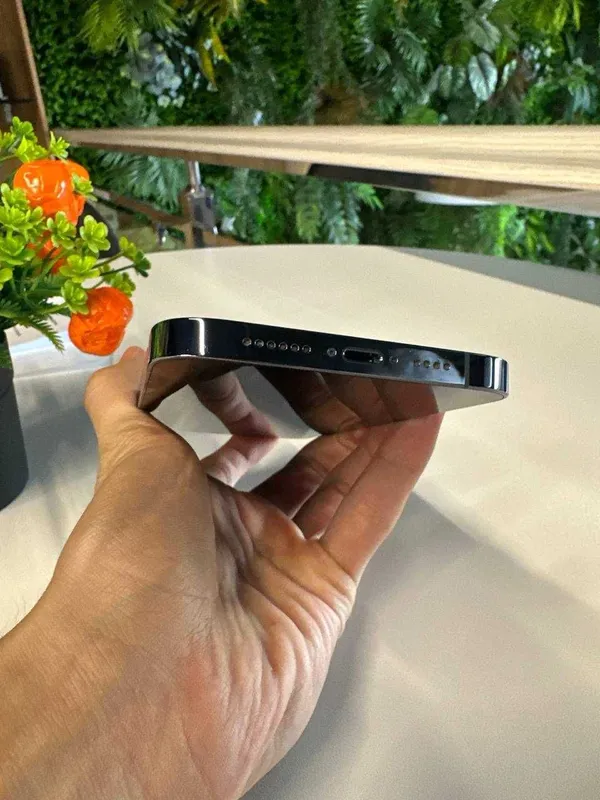 iPhone 13 Pro Max 128Gb 76% 6