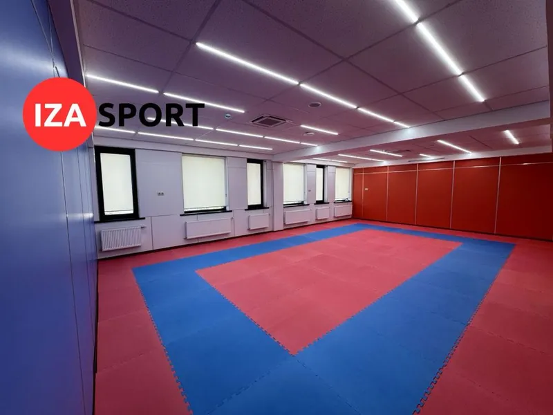 SPORT MAT / TATAMI dayan original, Борцовский ковер, спортивный мат