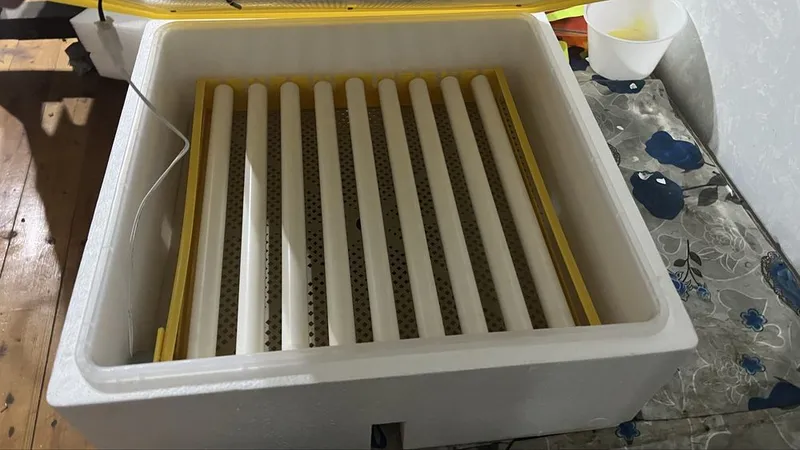 Inkubator 36 tuxum uchun 3