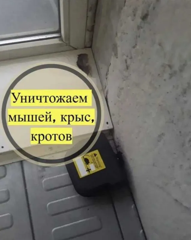 от 250 000 so'm Dezinfeksiya | Дезинфекция клопов таракан ос SES-1 — фото 1