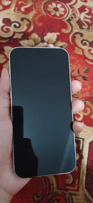 iphone 13 pro max 2 iphone 13 pro max 2