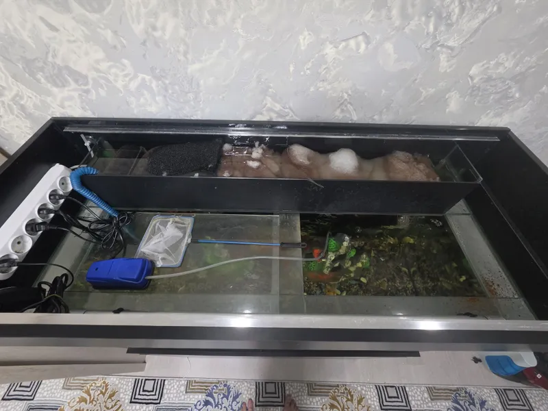 Yangi Akvarium sotiladi ! 5 Yangi Akvarium sotiladi ! 5