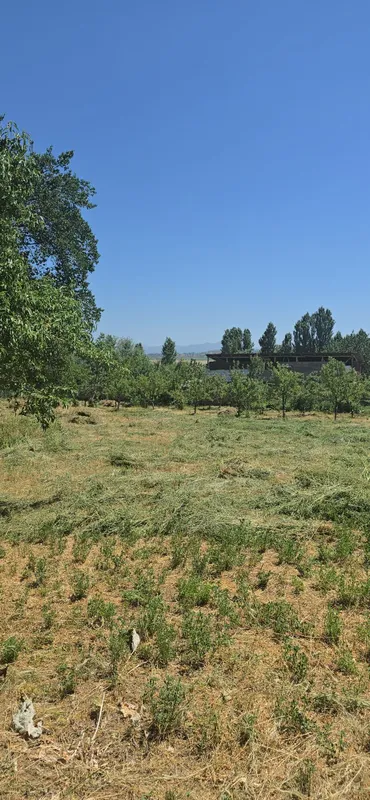 Срочно продаётся участок в Таваксае