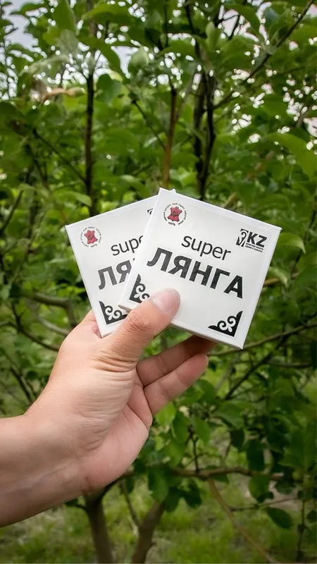 Супер Лянга • ностальгия • в память о молодости 5 Супер Лянга • ностальгия • в память о молодости 5