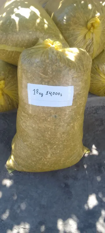 Meyin silus 2 Meyin silus 2