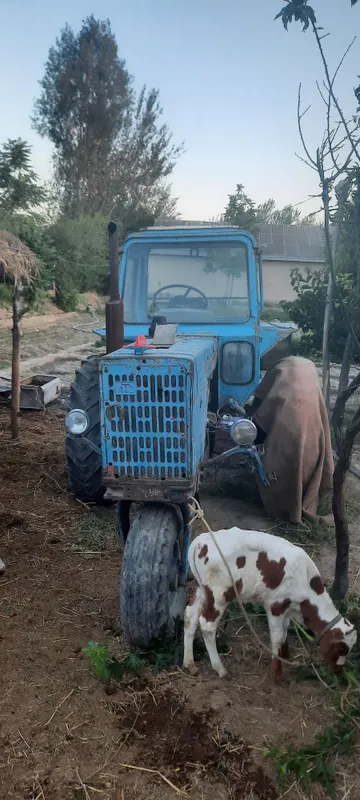 MTZ. 80 traktor 1 MTZ. 80 traktor 1