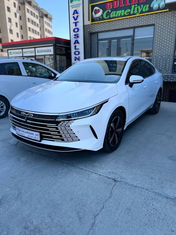 BYD Chazor 2025 yil 120 talik 1