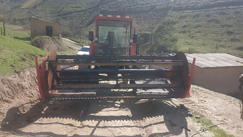 Beda oradigan Maral