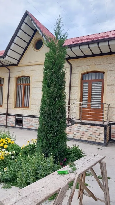 Archa va gullarga shakil berish xizmati — фото 3