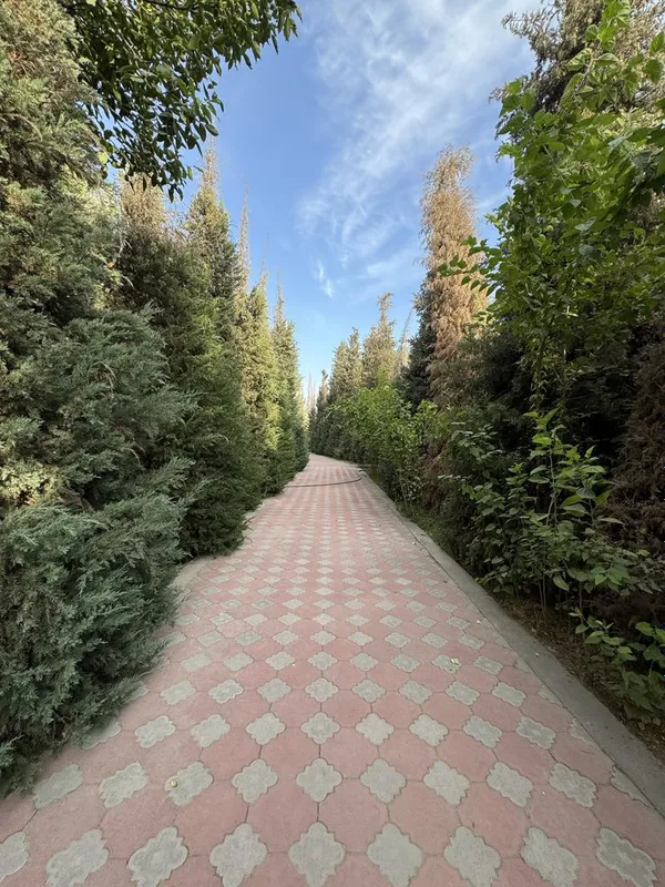 Продаётся Дача в Сырдаринском области — фото 2