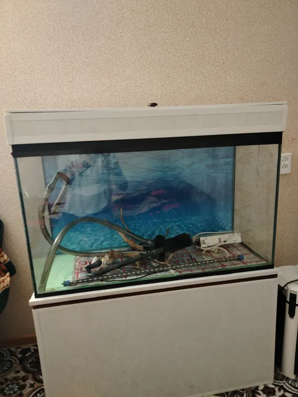 Akvarium, 240 l, o‘rnatilgan ventilyatorli qopqoq 4 Akvarium, 240 l, o‘rnatilgan ventilyatorli qopqoq 4