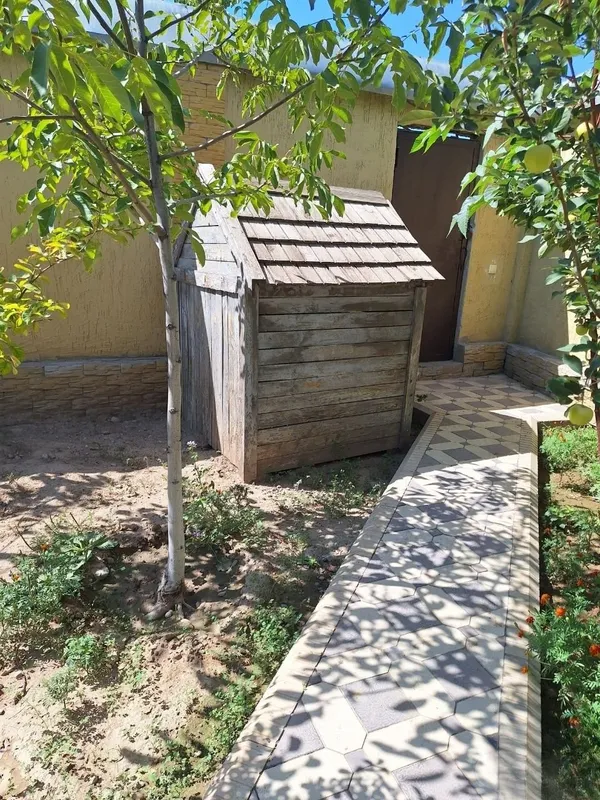 Продаётся Алабай 3 Продаётся Алабай 3