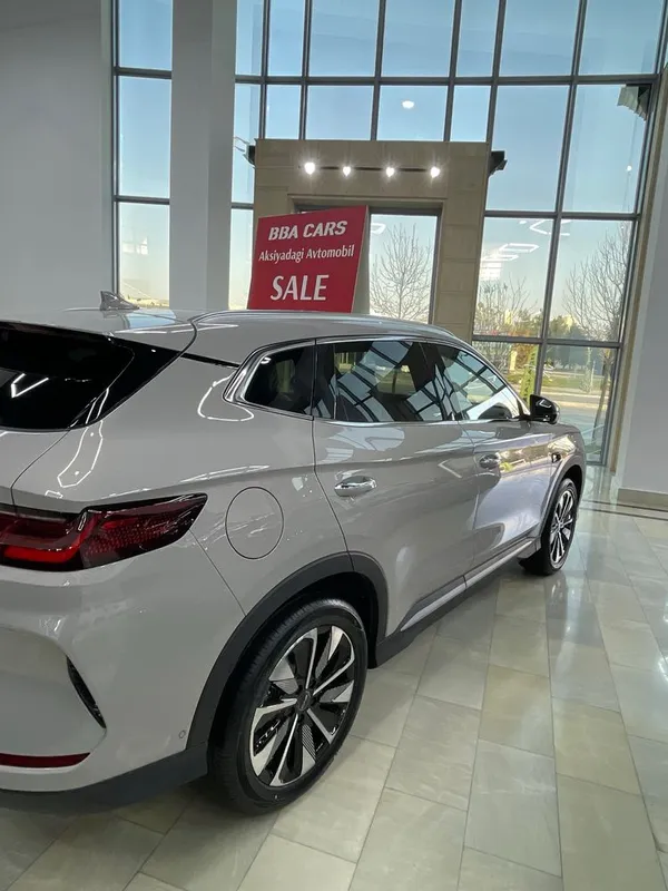 BYD chempion smart /ev — фото 5