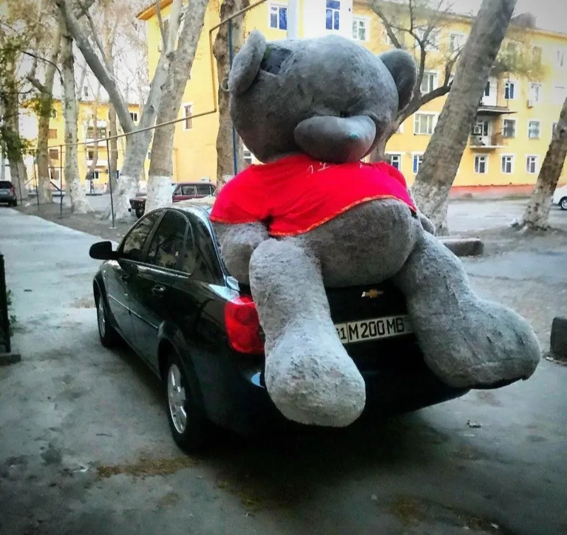 2 metrli Teddy Тедди