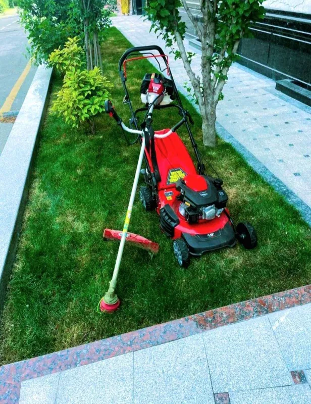 Gazon oramiz va dorilaymiz