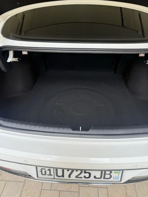 Hyundai Sonata 2,5 ли 6-позиция тозза — фото 6