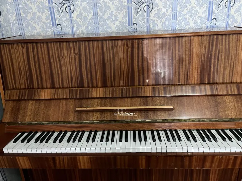 Fortepiano noktyurn — фото 1