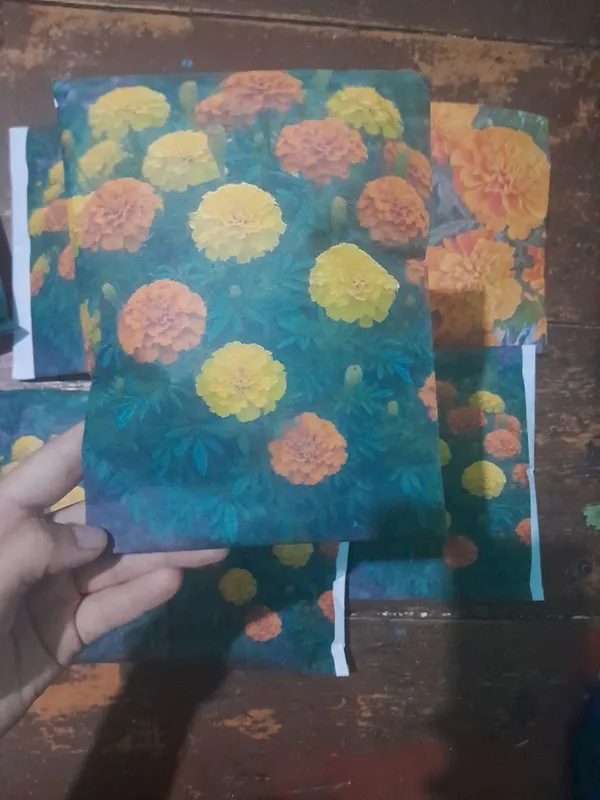 Shafran urug' / tagetes urug' / petunia urug' 1