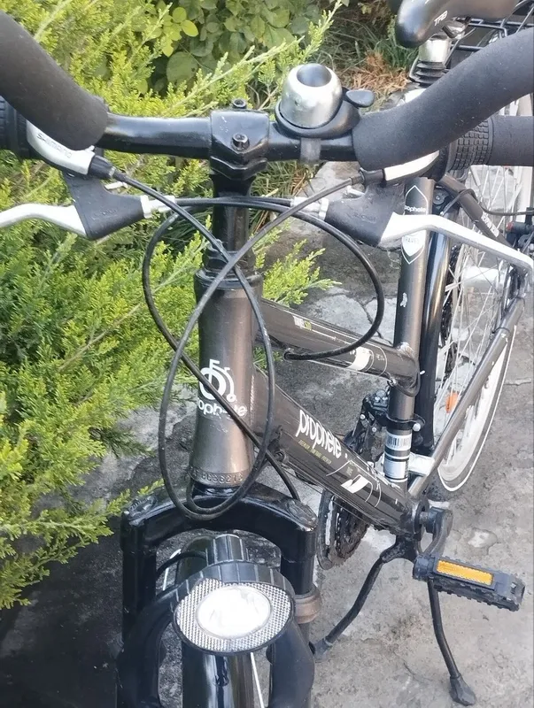 Velik Germanskiy 2