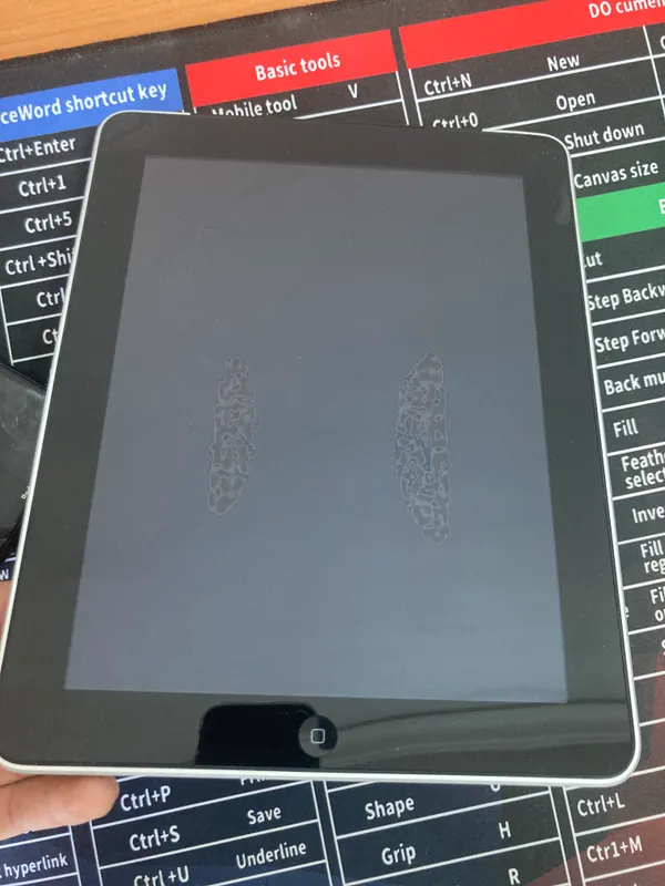 iPad Wi-Fi+3G
