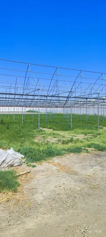 Продается теплица 1 Продается теплица 1