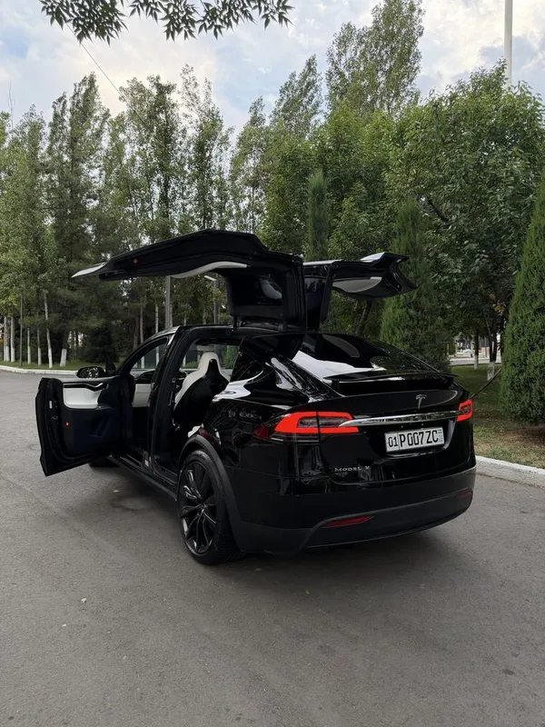 Tesla Model X Performance Dual Motor 6 Tesla Model X Performance Dual Motor 6
