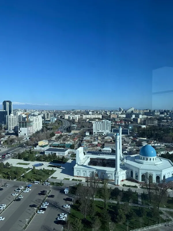 5ти комнатная с видом на весь Ташкент 2