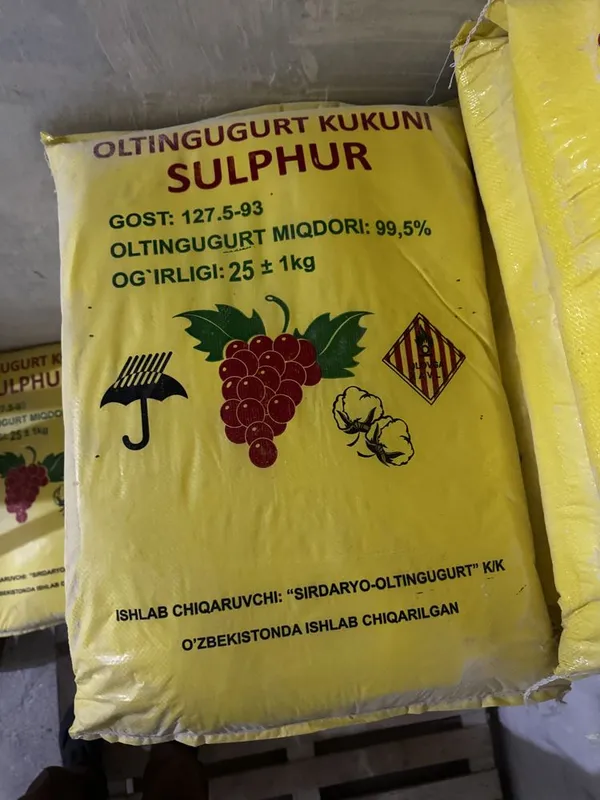 Oltingugurt 25kg sirdaryo