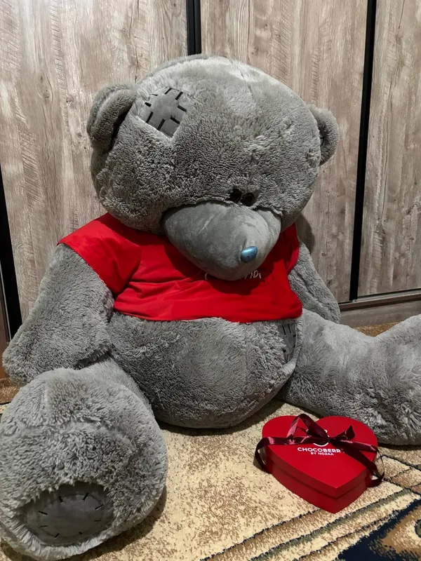 Teddy