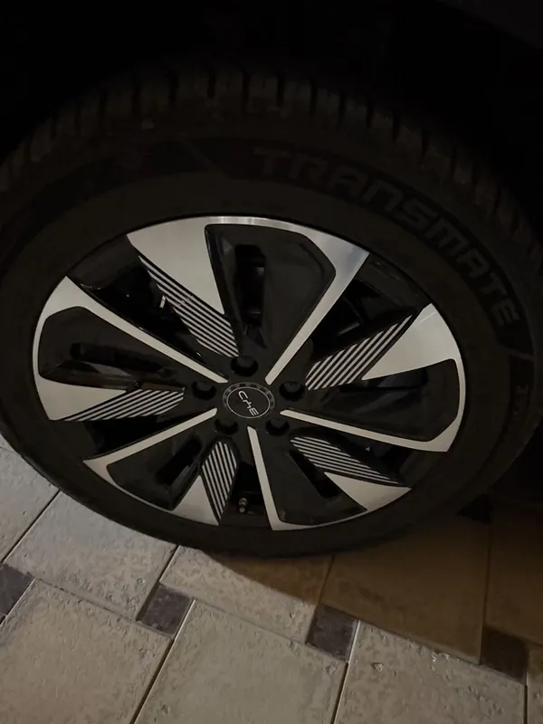 BYD Champion Smart — фото 2