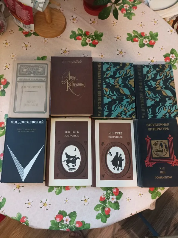Книги Гёте Достоевский Л. Толстой
