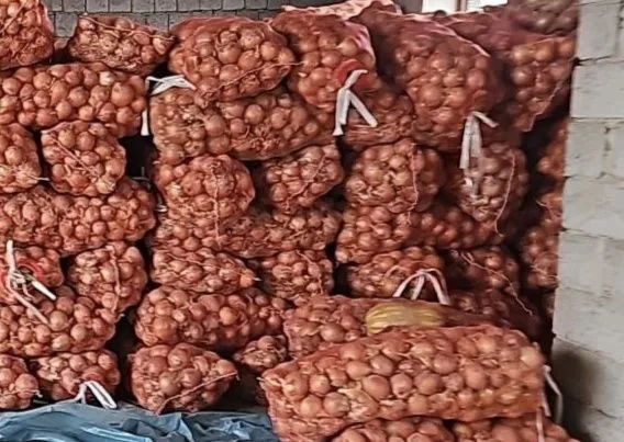 Piyoz , Bozor va oshxona uchun. 100 tonna bor xoxlaganingiz — фото 1