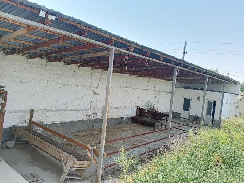Ferma sotiladi, 13.3 sotx 40 ta buqa yoki ot boqishga mo'ljallangan 10
