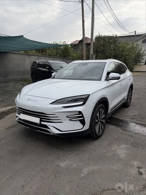 BYD Champion 150 Gibrid Toza 2 BYD Champion 150 Gibrid Toza 2