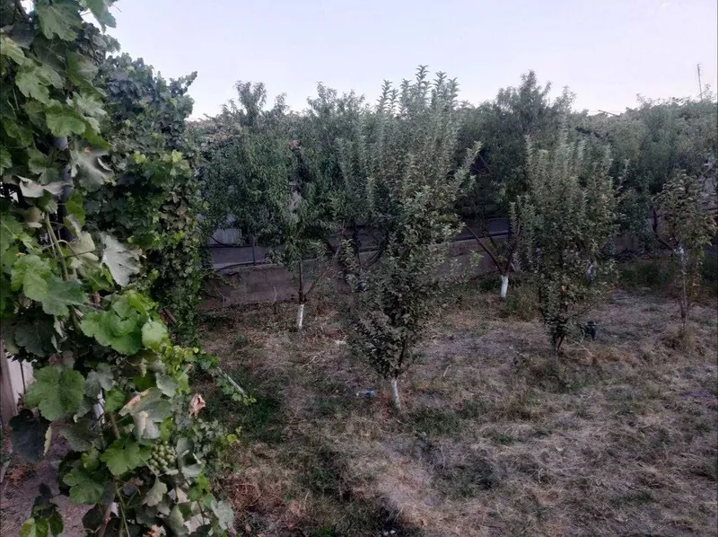 Продаётся участок 8 соток в Вабкенте Кулолчи МФЙ