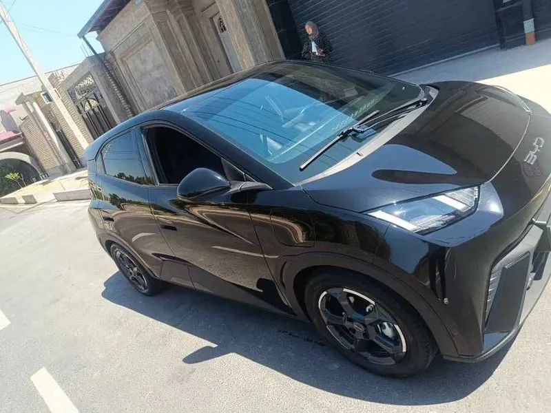 BYD Seaguli rassrochka nasiya 3 BYD Seaguli rassrochka nasiya 3