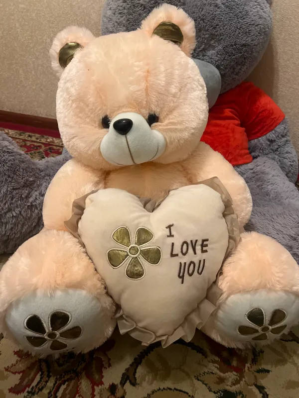 Teddy Teddy