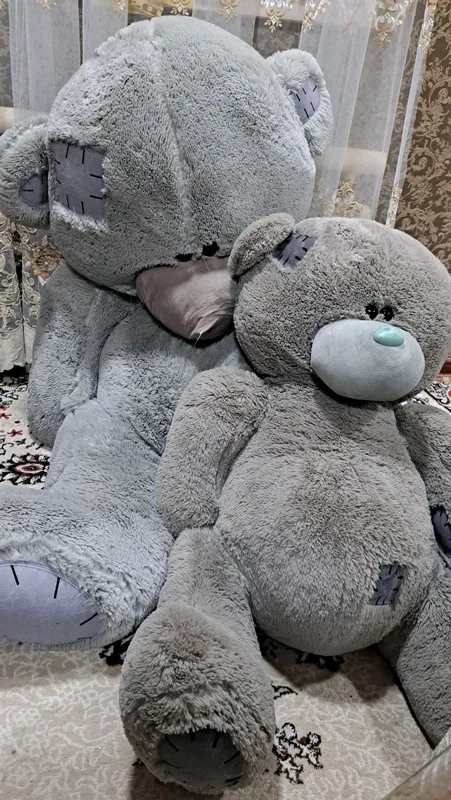 teddy ayiqchalari 4