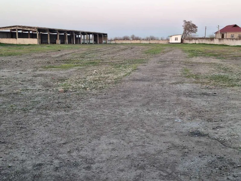 Под склад или производство Куйичирчикский (Пахтазор)