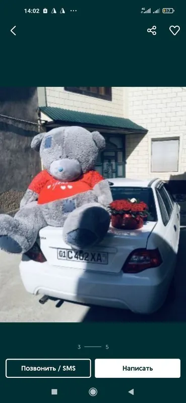 Teddy Тедди от 30 см до 3 метров 2 Teddy Тедди от 30 см до 3 метров 2
