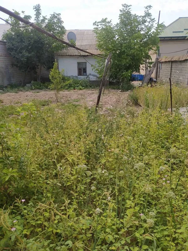 Продается дом, участок 7 Продается дом, участок 7