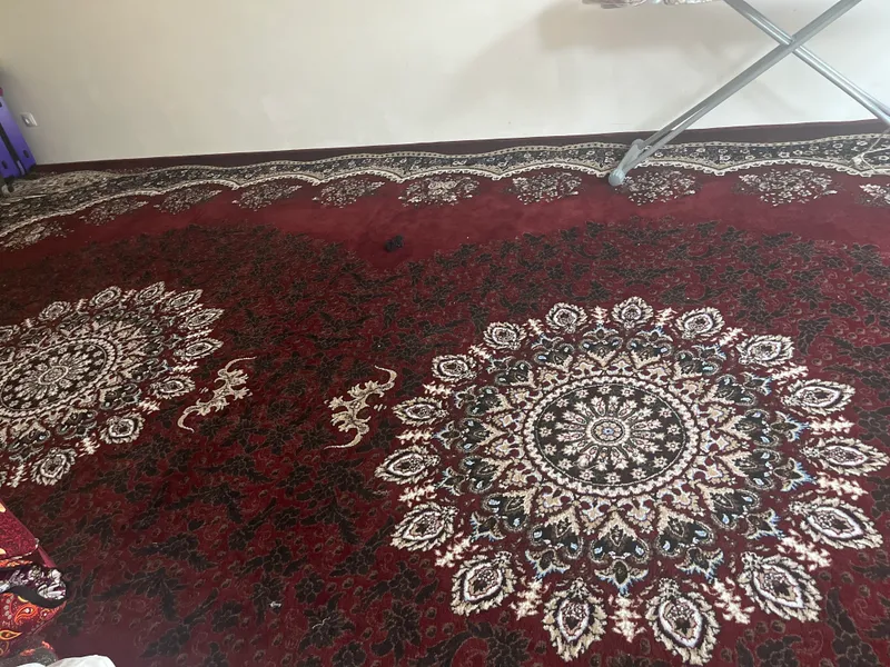 Gilamsotiladi 7/4 Gilamsotiladi 7/4