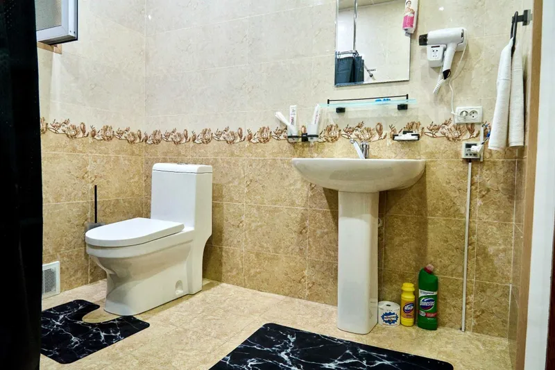Hotel / Hostel Dilbar Guest House (Гостевой дом) 10