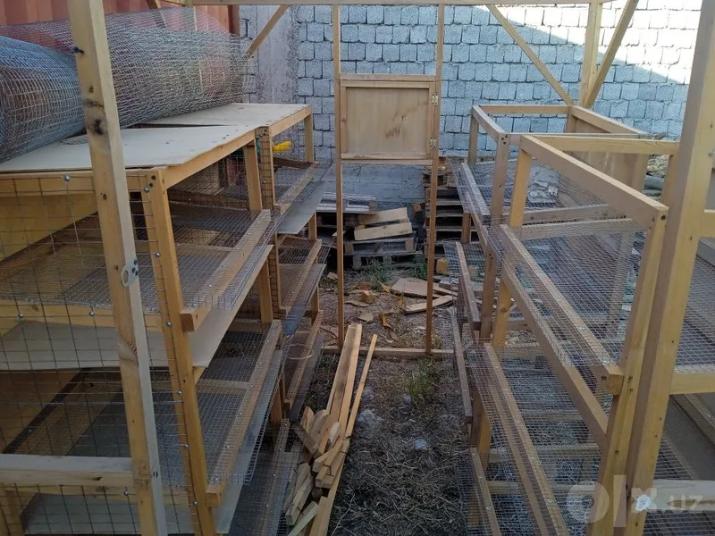Bedana inlar, inkubator, va ozuqasi sotiladi. 2 Bedana inlar, inkubator, va ozuqasi sotiladi. 2