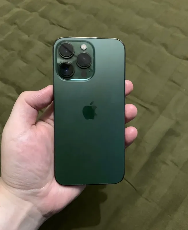 13pro