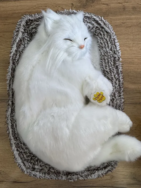 Котики для автомобиля 1