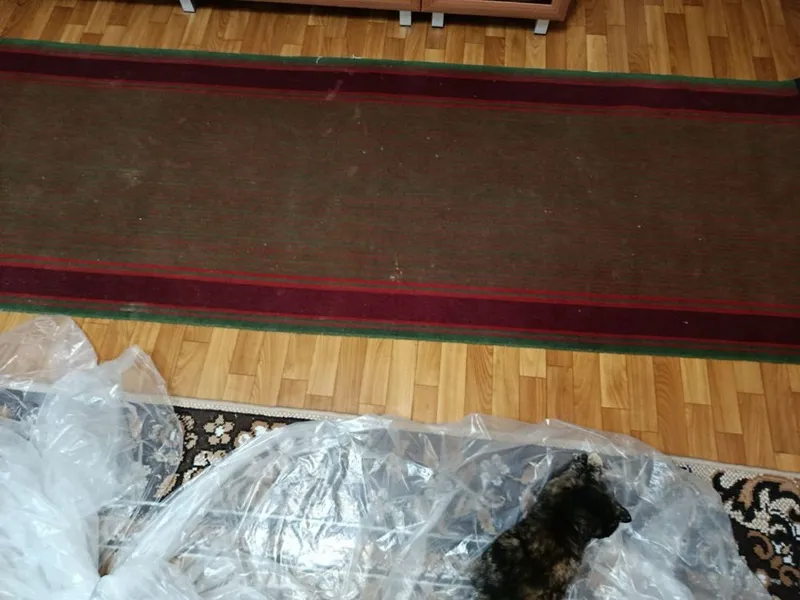 Дорожка ковер палас — фото 3