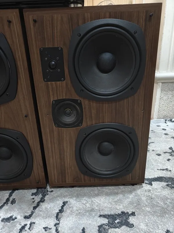 Peerless 1120 + Pioneer VSA-530 — фото 3