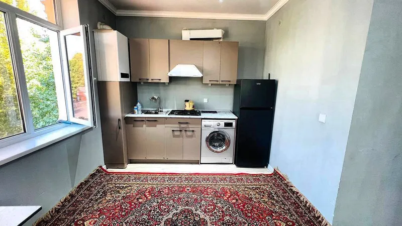 фрунзенский ижара — фото 4