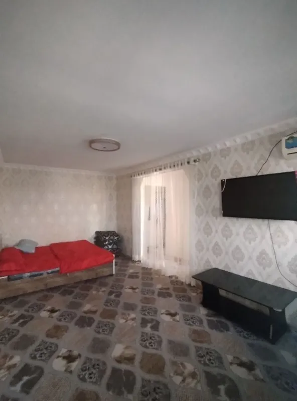 фрунзенский ижара — фото 2